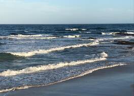 The International Motel