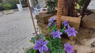 ホテル ロイヤル プラザ