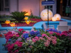 Shangri-La Changchun 写真