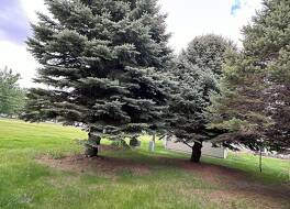 デ スメット スーパー デラックス イン アンド スイーツ 写真