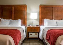 コンフォート イン & スイーツ アット ドリーウッド レーン 写真