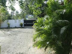 タケシ イン 写真