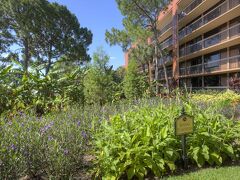 ローゼン イン レイク ブエナビスタ オーランド 写真