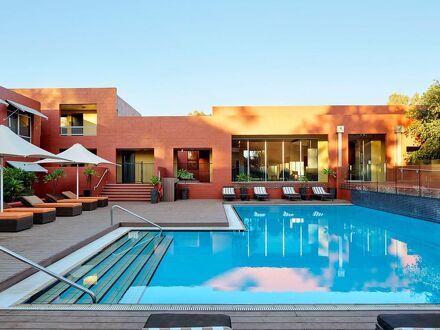 The Lost Camel 写真