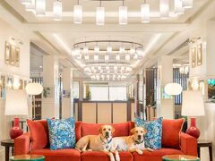 タージビュー - IHCL セレクションズ 写真