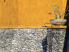 バニュワンギ ブリーズ 写真