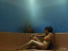 Hotel Terme Alexander 写真