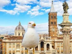 ホテル メチェナーテ パレス 写真