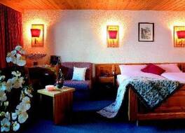 Hôtel Alpina - Swiss Ski & Bike Lodge Grimentz 写真