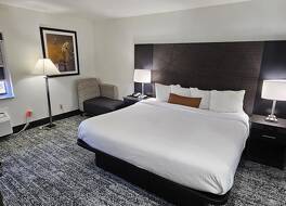 スリープ イン 写真