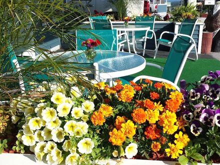 コロニアル イン エルスワース 写真