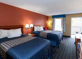 シェルビー イン 写真