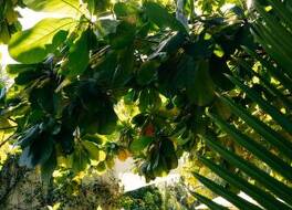 White Paradise Zanzibar