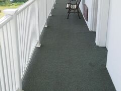 スコティッシュ イン ロンクス 写真