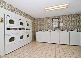 シーゲル セレクト バートレット 写真