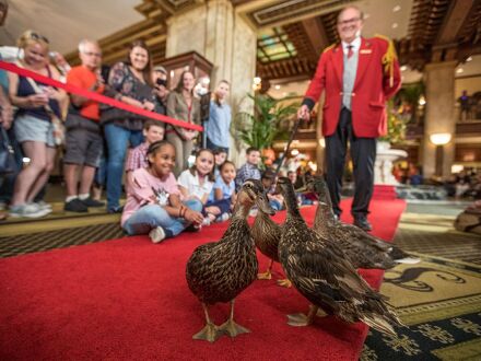 ピーボディ メンフィス 写真