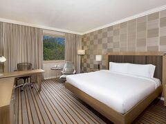 NH ヨハネスブルグ サントン 写真