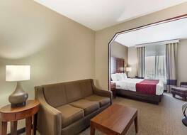 コンフォート イン アンド スイーツ 写真