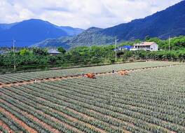 Dalukuan Hot Spring Resort 写真