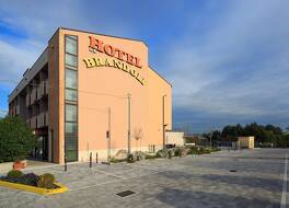 ホテル ブランドリ 写真