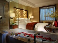 ニュー センチュリー シャオシン  グランド ホテル 写真