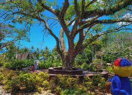 パシフィック アイランド クラブ グアム 写真