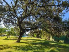 CRISOL JARDINES CORDOBA 写真