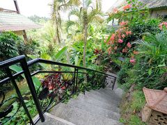 サンライズ ヴィラ ウブド 写真