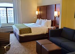 コンフォート イン & スイーツ ディケーター - フォーサイス