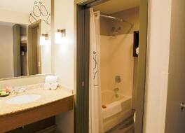 グレイト ウルフ ロッジ シカゴ ガーニー IL 写真