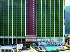 パンダ ホテル 写真