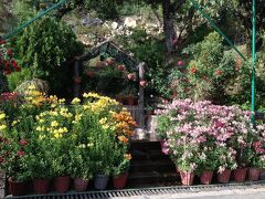 Asia Spa Resort 写真