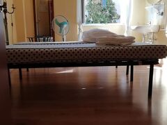 テル ダリ 写真