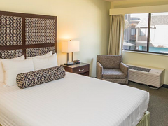 メープル ツリー イン ホテル 写真