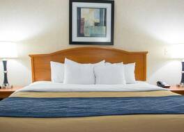 クオリティ イン & スイーツ 写真