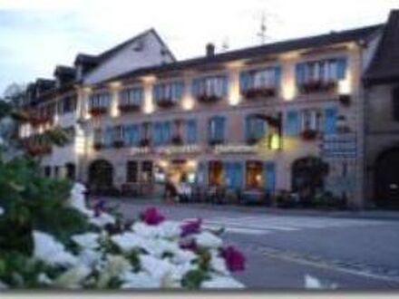 Hotel Au Lion d'Or 写真