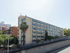 マウントウェイ ホリデイ アパートメンツ 写真