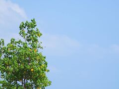 ホリデイ イン エクスプレス バルナ バリ バイ IHG 写真