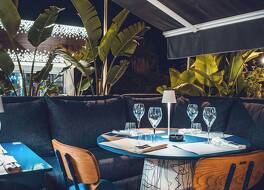 ゴールデンチューリッププレジデントハンマメット 写真