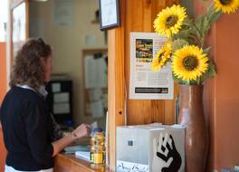 ア サンフラワー ストップ バックパッカーズ 写真