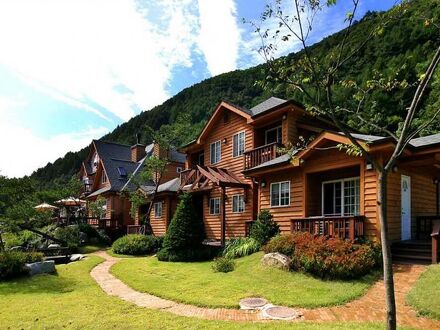 San Wool Rim pesion 写真