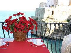 コボ デイ サラセニ 写真