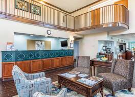 クオリティ スイーツ 写真