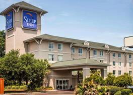 スリープ イン ノース チャールストン アシュリー フォスフェイト