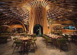 オショム バリ 写真