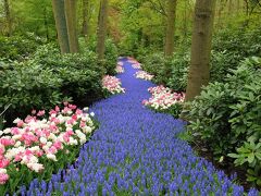 ヒルトン アムステルダム エアポート スキポール 写真