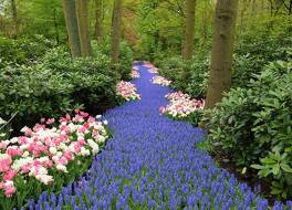 ヒルトン アムステルダム エアポート スキポール 写真