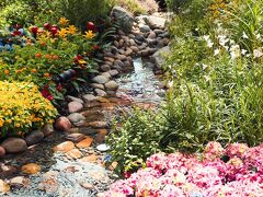 クラウンプラザ チャンギ エアポート バイ IHG 写真