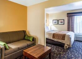 コンフォート イン & スイーツ ノース オーロラ - ネーパーヴィル 写真