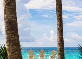 Rosewood Bermuda 写真